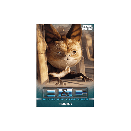Star Wars: The Mandalorian Sammelkarten Starter Pack - Cardmaniac.ch