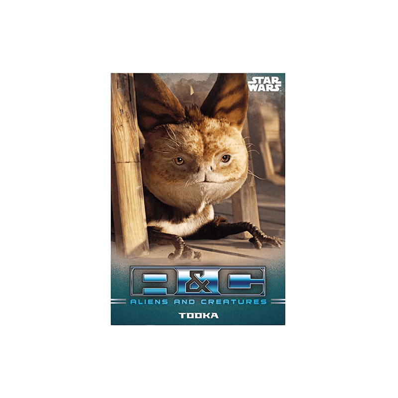 Star Wars: The Mandalorian Sammelkarten Starter Pack - Cardmaniac.ch